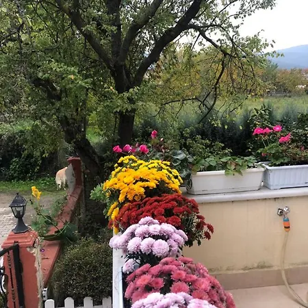 Eren Villa-isitma Havuzlu فيلة سبانجا