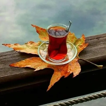 빌라 Eren 사판자