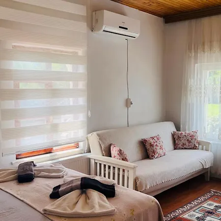 Eren Villa Sapanca
