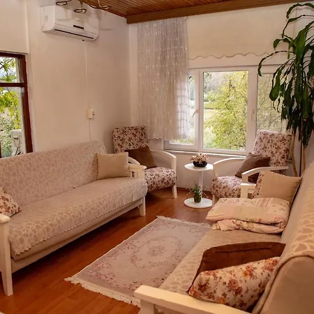 Eren Villa Sapanca
