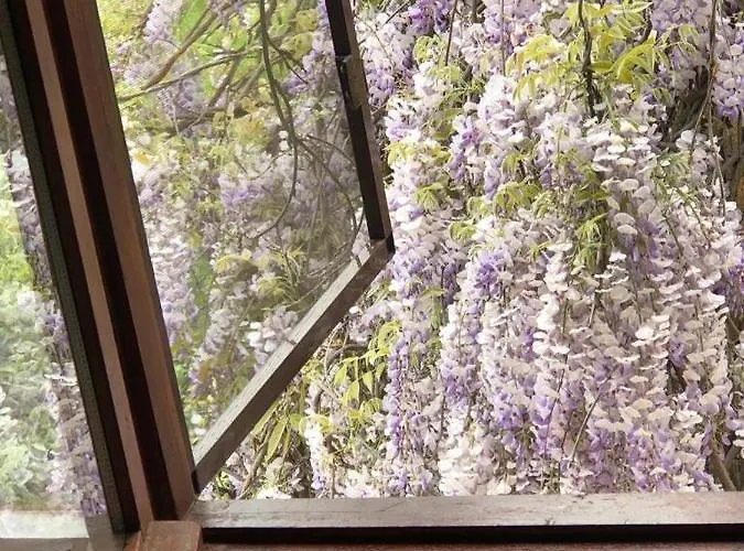 Eren サパンジャ