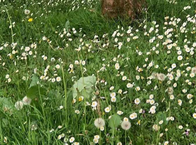 ヴィラ Eren サパンジャ