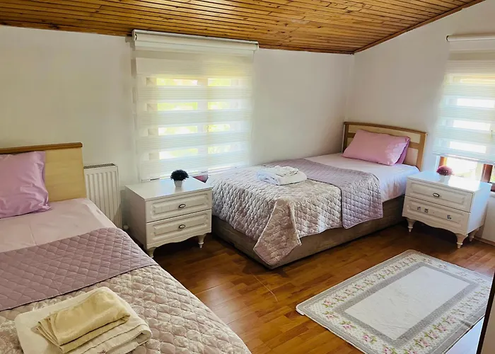 Eren ヴィラ サパンジャ