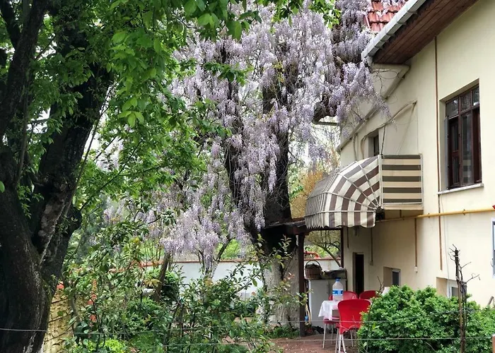 Eren サパンジャ